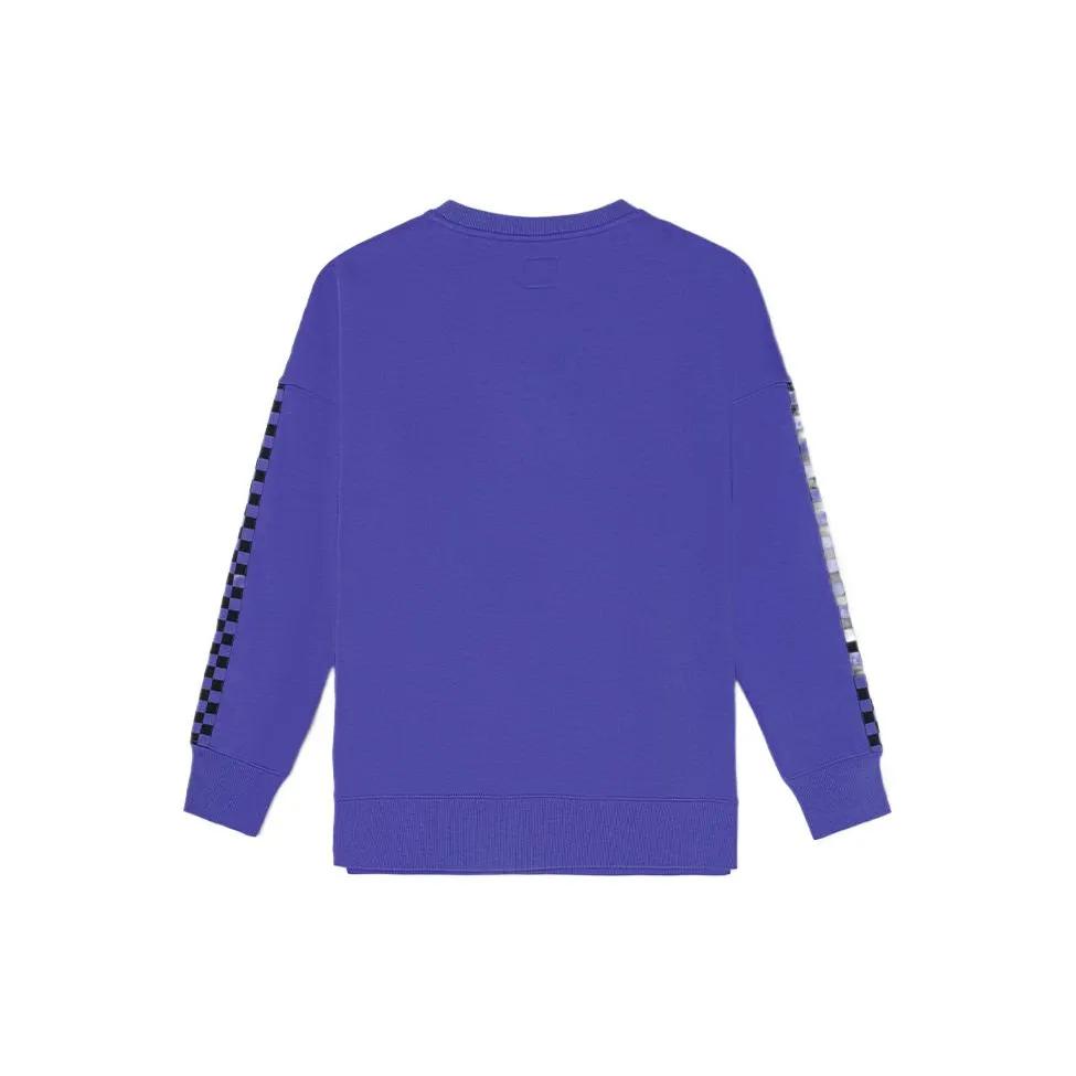 Vans Sweatshirts Unisex Purple Crew Neck Moderate (Unisex) Sweatshirts VN000911BT2