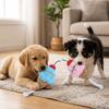 Food Shape Squeaky Pet Toy Dual Color Cat Play Toy Cute Design Ice Cream Toy  For Cat