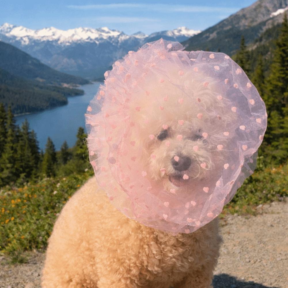 Mesh Pet Anti-Mosquito Headgear Breathable Love/Wave Point Pattern Dog Decorative Headgear Adjustable Dog Face Mask