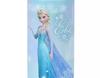 Disney Elsa Stainless Steel Bottle for Kids Japan NEW Disney Store
