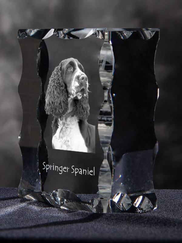 English Springer Spaniel - crystal with a picture of a dog, glass statuette with a picture, unique frame with a picture from Art-Dog brand