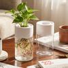 5/1pcs Round Hydroponic Plant Pots Hydroponic Transparent Indoor Plant Pots Decorative Containers Simulated Glass Vase Ornament