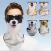 Креативный узор кошки собаки Спорт на открытом воздухе Маска от солнца Езда по дороге Защитная маска на пол-лица Летняя дышащая маска для лица из ледяного шелка