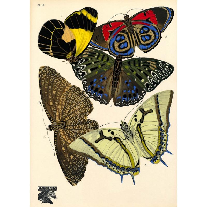 1924 Эжен Сеги Винтаж Бабочка Иллюстрация Плакат Французский Papillon Холст Картина Природа Настенное Искусство Гостиная Домашний Декор