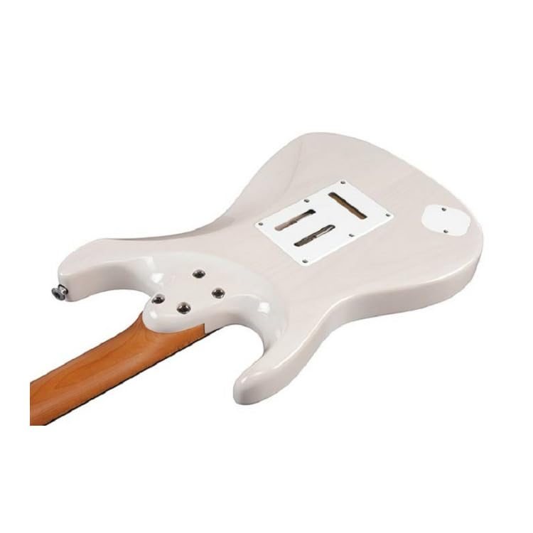 IBANEZ Electric Guitar AZ2204N-AWD