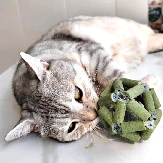 Catnip Toys Natural Silvervine Stick Cage Ball Catnip Ball Toy Pet Teeth Cleaning Molar Tool Cat Chew Toy for Indoor Cats