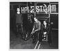 [CD] Into the Wild Life Обычное издание Halestorm WPCR16417 Альбом Hard Rock НОВЫЙ