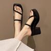 Internet Celebrity Black Thick High-heeled Sandals Women's 2025 New Summer Retro High-end Late Evening Breeze Gentle Fairy Shoes