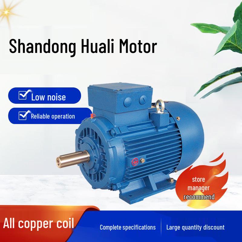 Shandong Huali 1L Series Three-Phase 22kW/30kW Asynchronous Motor with Full Copper Coil