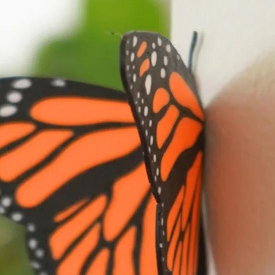 Магнит на холодильник «Бабочка», напечатанный на 3D-принтере, сделай сам, украшение для дома, кухни, шкафчика, холодильника, монарх, махаон, голубая бабочка, магнитное украшение, орнамент