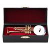 Miniature Trumpet Replica with Stand and Case Gold Plated Instrument Model Musical Ornaments