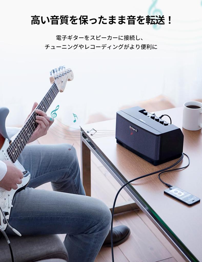 UGREEN 6.35mm Mono Cable, Standard Plug, Male to Male, for Connecting Mixers, Guitars, Amplifiers, Speakers, etc., 3M