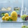 Portable Ozone Deodorizer Device Easy To Place Fridge Deodorizer Fresh Keeping Machine Wardrobe