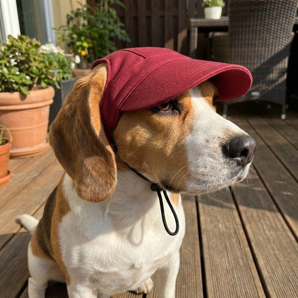 with Ear Holes Dog Sun Hat Sun Protection Pet Visor Hat Dog Sunscreen Hat  Outdoor Use