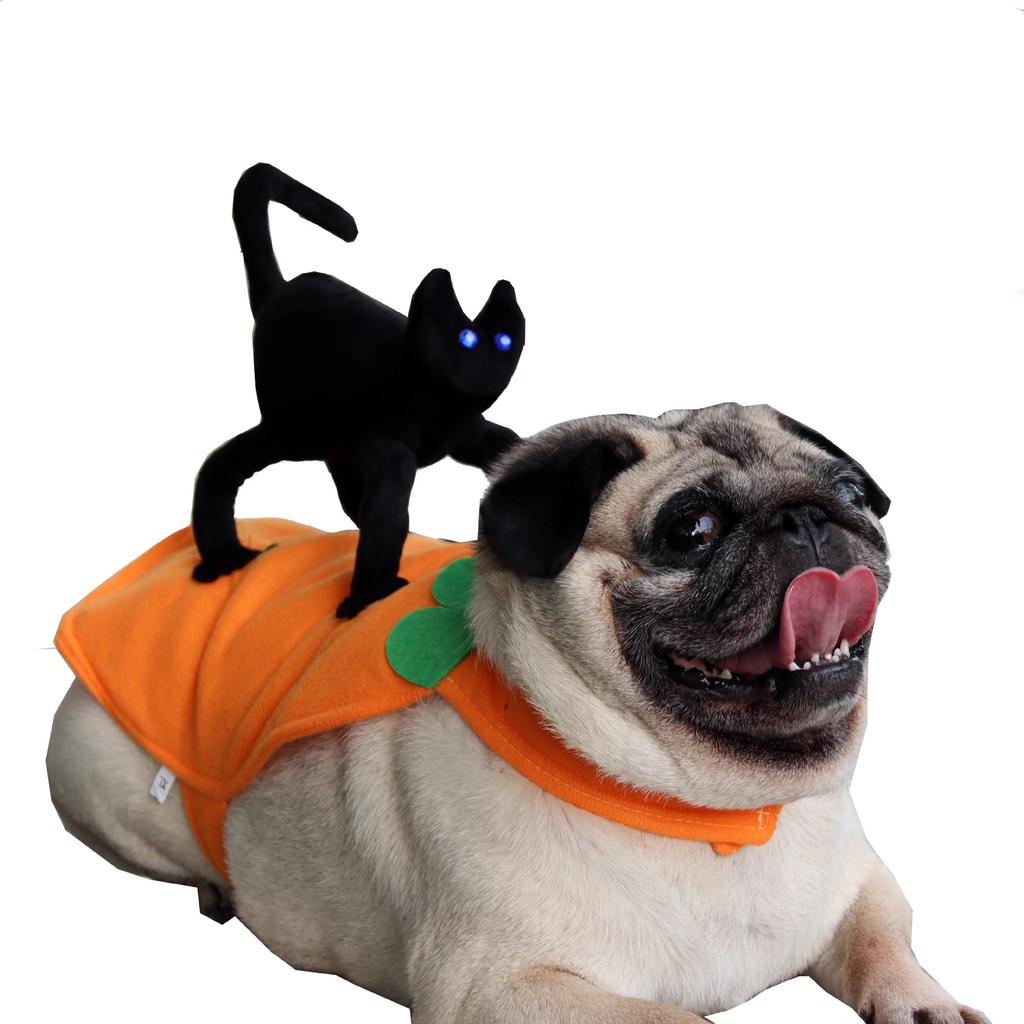 Funny Halloween Pet Dog Polyester Eco-friendly Big Banana Print Cartoon Style Formal Coat for Winter