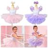 Modern Kids Ballet Dress Puffy Princess Dress Fashion Performance Clothes Children