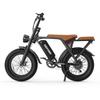 Deepower V8 Electric Dirt Bike with Dual Seat, 48V 20AH Battery, 20"x4.0" Fat Tires
