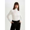 Regular Fit Soft Textured Turtleneck Basic Plain Knitwear Sweater H1651az24wn