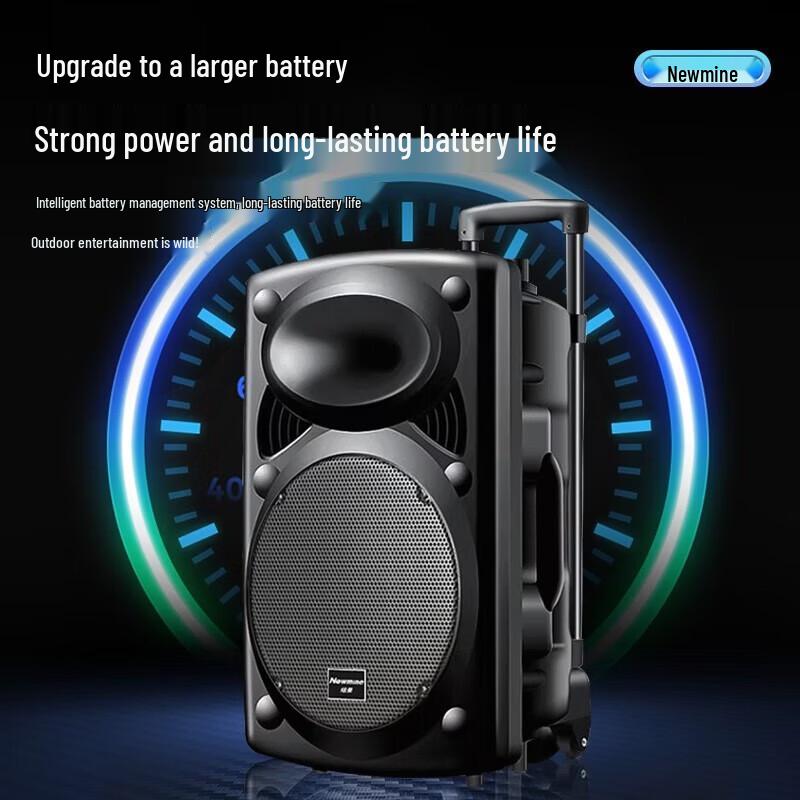 Портативная Bluetooth-колонка на колесиках Newmine 12 дюймов, штекер CN (адаптер в комплекте) (Китайская версия)