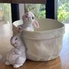 Очаровательный горшок для растений в виде кролика, смоляной горшок для растений в виде кролика, креативный искусственный цветочный горшок для украшения балкона в саду