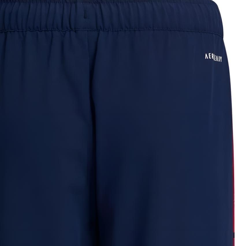Adidas Grade School Shorts Moderate GP0811