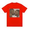 Funny Two Men Kissing Meme T Shirt Men Women Fashion Hip Hop Vintage T-shirt 100% Cotton Casual Loose Short Sleeve T-shirts Tops