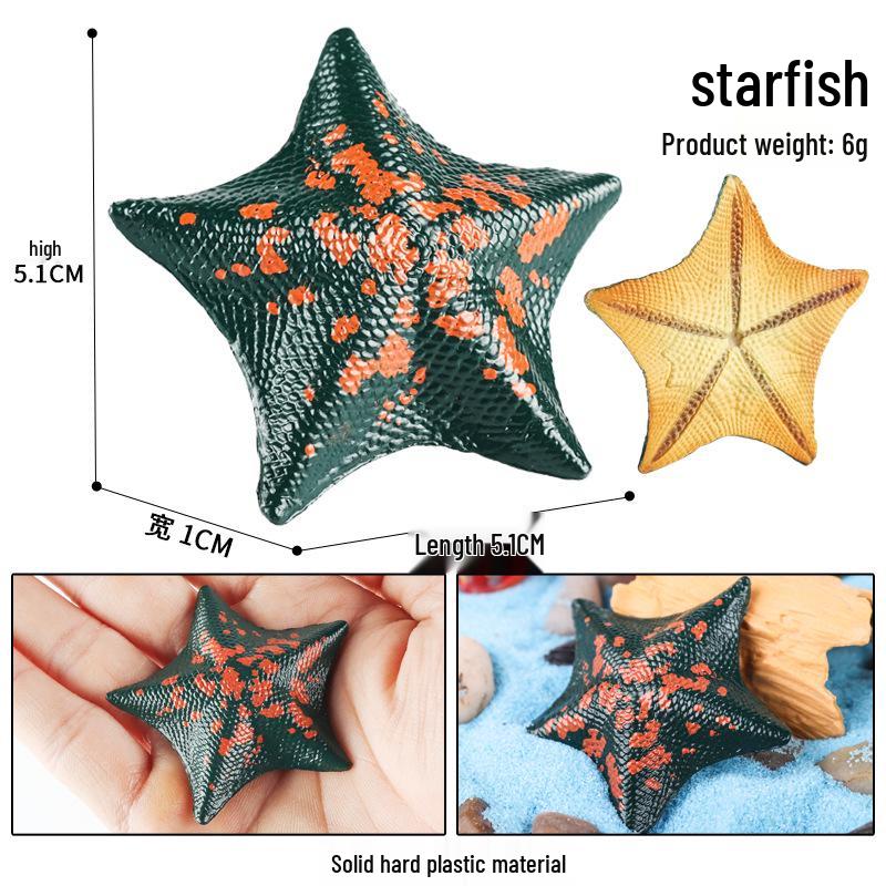 Marine Animal Simulation Models: Jellyfish, Octopus, Sea Shrimp, Sea Anemone, Squid, Horseshoe Crab, Crayfish, Arrowhead
