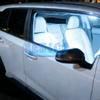 100Pcs White Ceiling Bulb C5W C10W 5050 3SMD 31/36/39/41mm DC12V Car License LED Dome Festoon Door Light Reading Lamps Interior