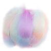 100Pcs Interesting Feathers Environmentally Friendly Improve Hands-on Ability Natural Plumes