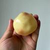 Кокосовое Масло Картофельная Лепимая Антистрессовая Мялка Сжимающая Игрушка Без Отдачи Ручной Работы Антистресс Снятие Напряжения
