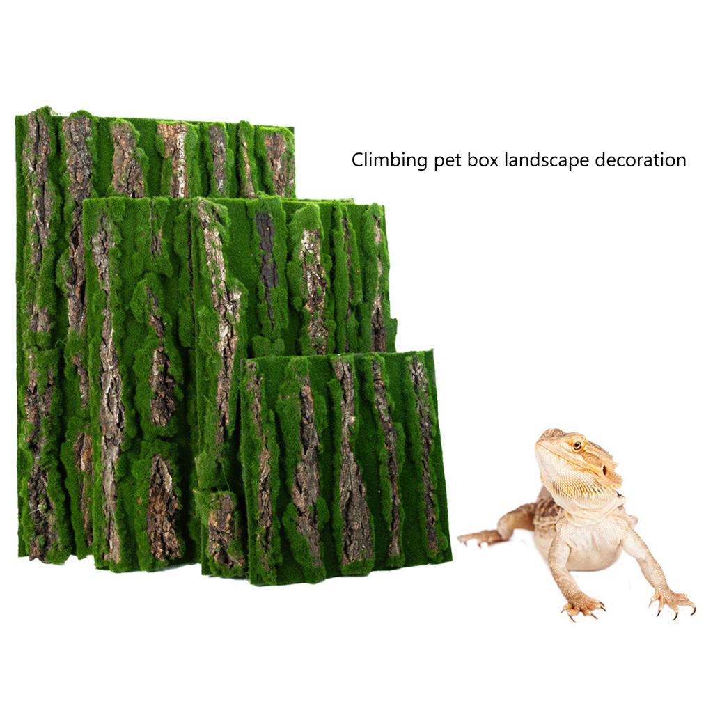 Natural Bark Moss Backdrop Board for Terrariums and Reptile Safe and Mold Resistant Habitats Background for Amphibian