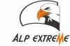 Alp Extreme Raczki Turystyczne Ice Trail M 36-40