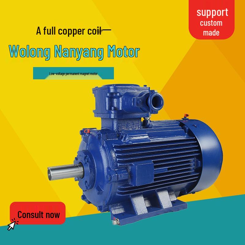 Wolong Nanyang Low-Voltage IE4 Explosion-Proof Self-Starting Permanent Magnet Three-Phase Synchronous Motor