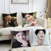 Подушка с Пак Бо Гомом – Двусторонняя плюшевая наволочка – Для автомобиля, дивана, спальни, идеальна в качестве подарка.