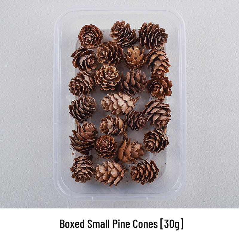 Handmade Mixed Dried Fruits & Flowers DIY Pack for Arranging & Decorating