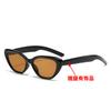Small frame high-end sunglasses summer new cat eye European and American Internet celebrity sunglasses men's B