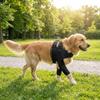 Self-Heating Dog Shoulder Warmers Adjustable Dog Joint Protection Sleeve  Playing