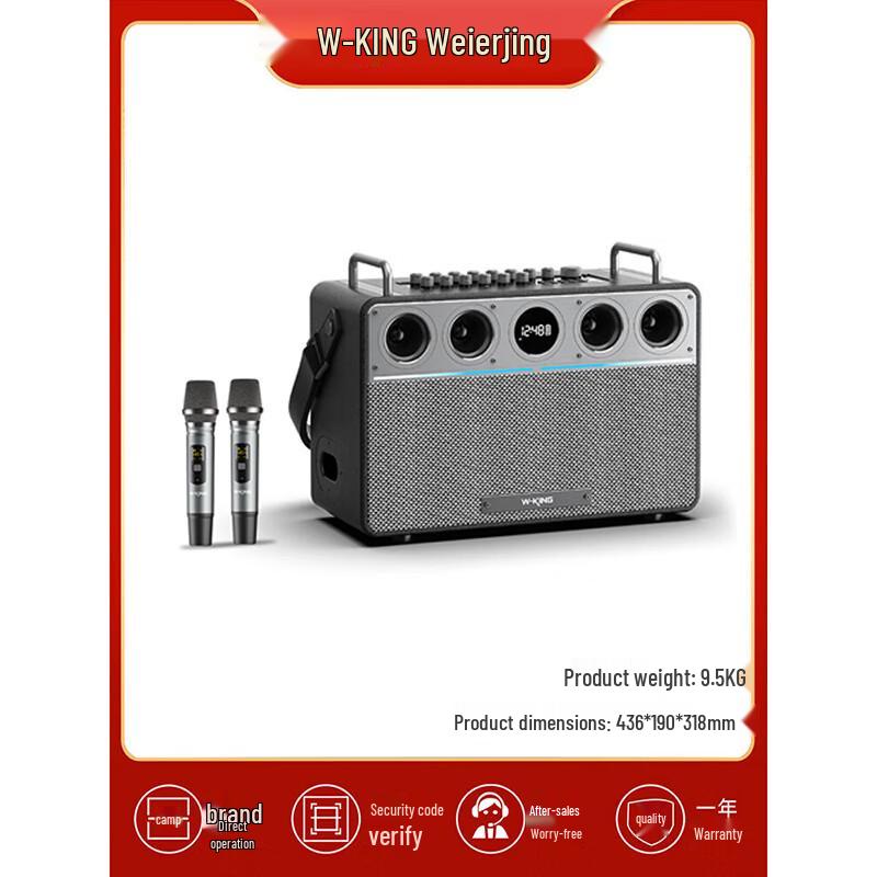 W-King T16L 160W Outdoor Karaoke Bluetooth Speaker