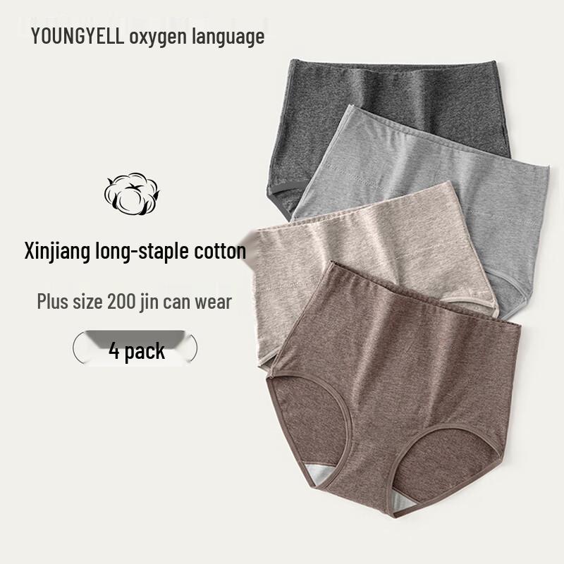 YOUNGYELL Women's 7A Antibacterial Cotton Underwear 4-Pack