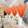 20Pcs Faux Pampas Grass, 21.6" Short Artificial Pompous Grass Floral Fake Pompas Grass Branches Vase Filler Flower Arrangement