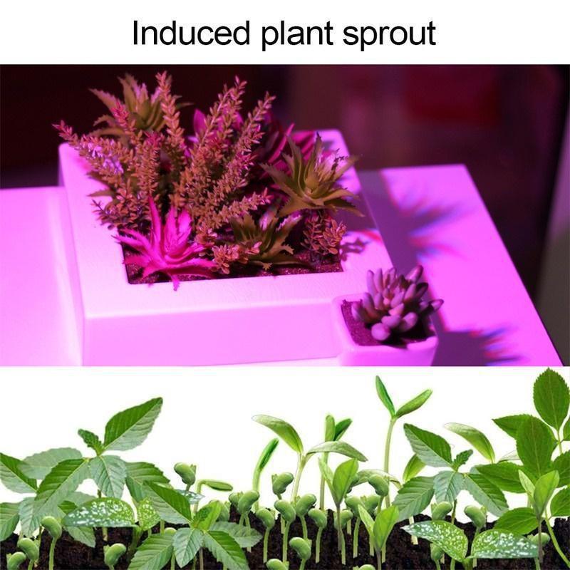 1Pc Indoor Bulbs Led Plant Grow Light E27 Full Spectrum Veg Hydro Garden Lamp(48Leds/60Leds/80Leds) XYZ