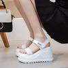 Velcro Thick-soled Heightening Women's Sandals Summer 2025 New One-character Woven Outer Sandals Trend