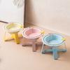 Nostalgie Ceramic Feeding Bowl for Dogs & Cats, Whisker Friendly Kitten Food Water Dish, Wide Shallow Pet Feeder Plate Dry Wet