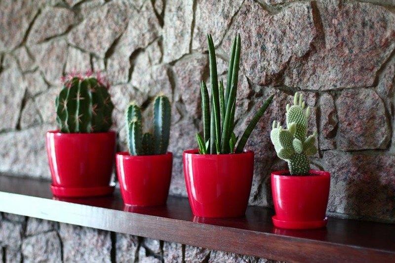 Flowerpot with plastic cover, red, 13.5 cm, Magnolia
