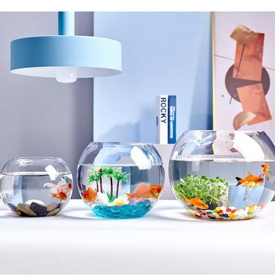 Рыбки и морские животные – Аквариумы