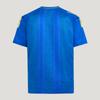 Adidas Soccer Jerseys Unisex Honor Blue/Yellow Moderate