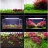 Neo Soil Plant No Co2 Rich - Substrate for Plant Aquariums 8L