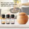 EUQEE 6PCS Fragrance Oils Set Gift for Aromatherapy Diffuser Yoga Spa Massage Bath Skin Care Relaxation DIY Perfume