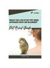 Книга What Do I Do If My Pet Bird Appears Sick or Injured? : Pet Bird Guide
