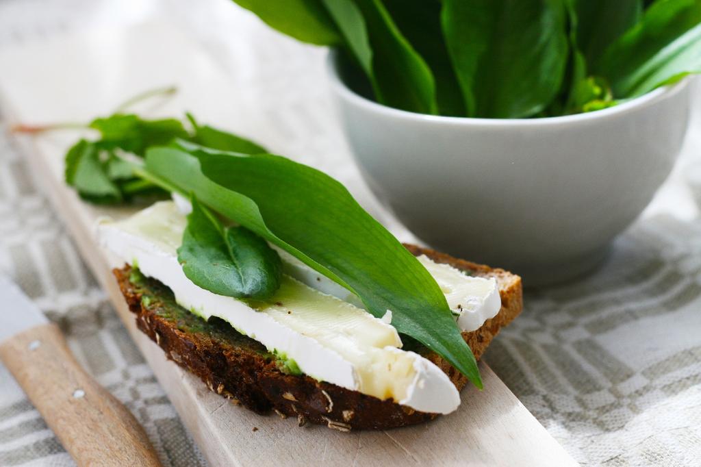 SAFLAX Garden in the Bag - Органический - Французский щавель - 400 семян - С субстратом в подходящем пакете - Rumex acetosa